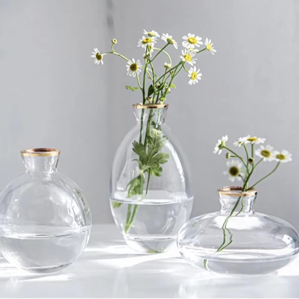 3PCS Nordic Style Mini Vase Set Minimalist Hydroponic Vase Elegant Small Plant Pots Kitchen