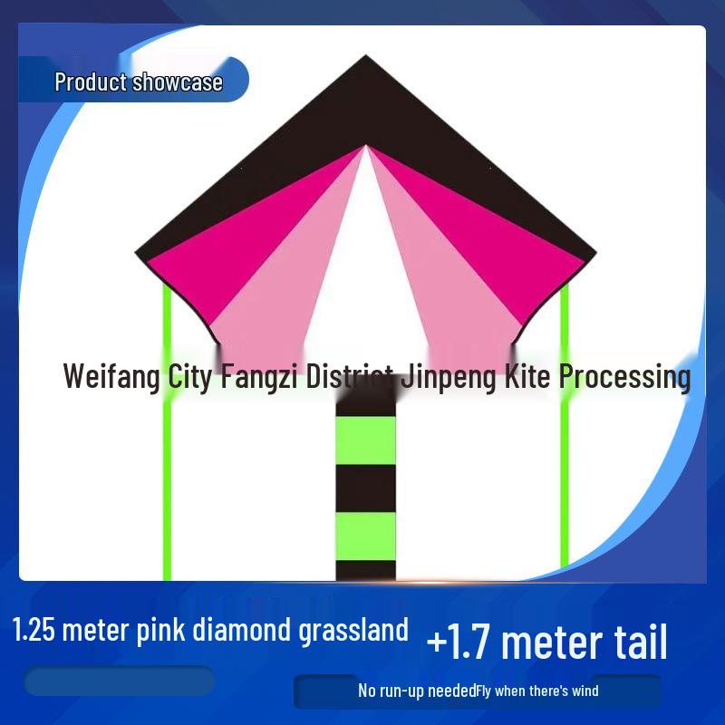 Great Plains Extra Large Rainbow Kite for Kids - Excellent Flying Cartoon Design