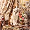 Алмазная картина, наборы для вышивки крестом, животное, кошка, Алмазная вышивка, стразы из смолы, рукоделие