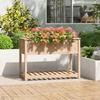 VidaXL Planter with Shelf 111.5x54x81 Cm Solid Pine Wood 823787
