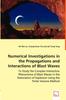 Книга Numerical Investigations In the Propagations and Interactions of Blast Waves