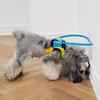New Protective Blind Pet Anti-collision Guide Training Behavior Aids Collar for Small and Big Dogs - Prevent Collisions - Essent