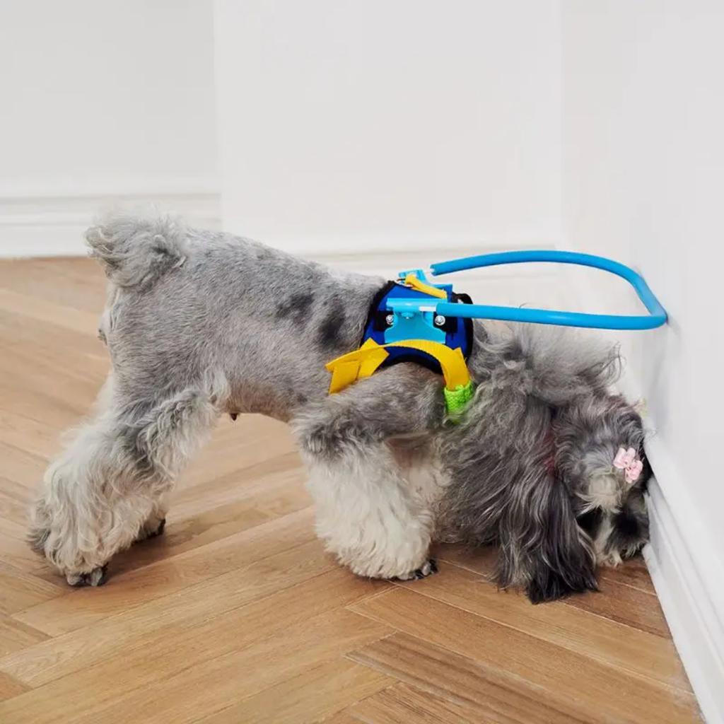 New Protective Blind Pet Anti-collision Guide Training Behavior Aids Collar for Small and Big Dogs - Prevent Collisions - Essent