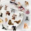 50 Cartoon Cat and Dog Meme Sticker Pack Waterproof Transparent PET Manual Animal Material Decorative Guitar Notebook