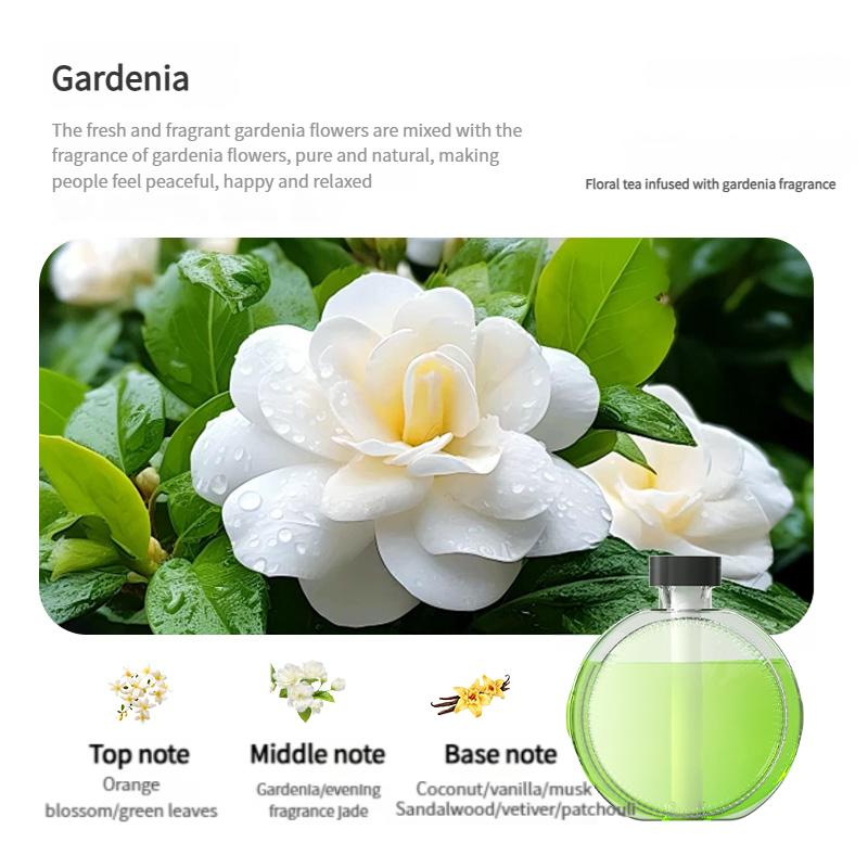 USB Мини-диффузор для ароматерапии Небулайзер для эфирных масел для дома и для автомобиля Дезодорирование Очистка воздуха с