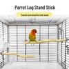 Parrot Wood Claw Grinding Stick & Branch Cage Accessory