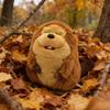 Новые плюшевые игрушки Бобр из Хопперс Аниме Фильм Товары для фанатов Изысканные фигурки животных Предметы для коллекции фанатов Подарок на день рождения для детей