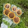 1/3Pc Hand-Woven Creative Knitting Bouquet Hand Knitting Sunflower Artificial Bouquet Decoration Fake Flowers