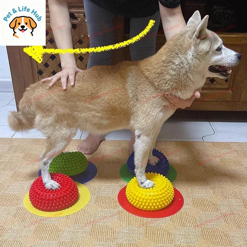 AVC Dog Hemispherical Paw Pad Trainer Balance Correction Muscle Recovery For Knee Patella Lumbar Spine Pet Rehabilitation