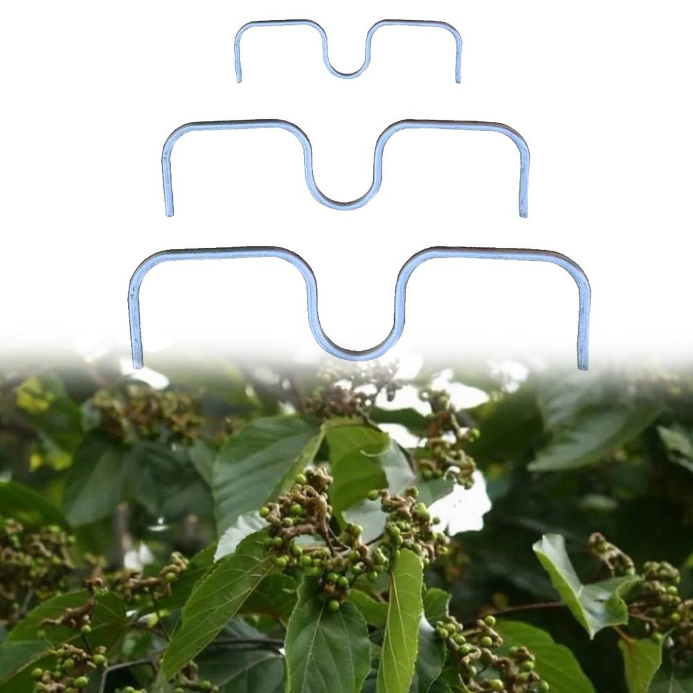 Набор сельскохозяйственных инструментов из 50 М-образных разветвителей для ветвей, легкая конструкция