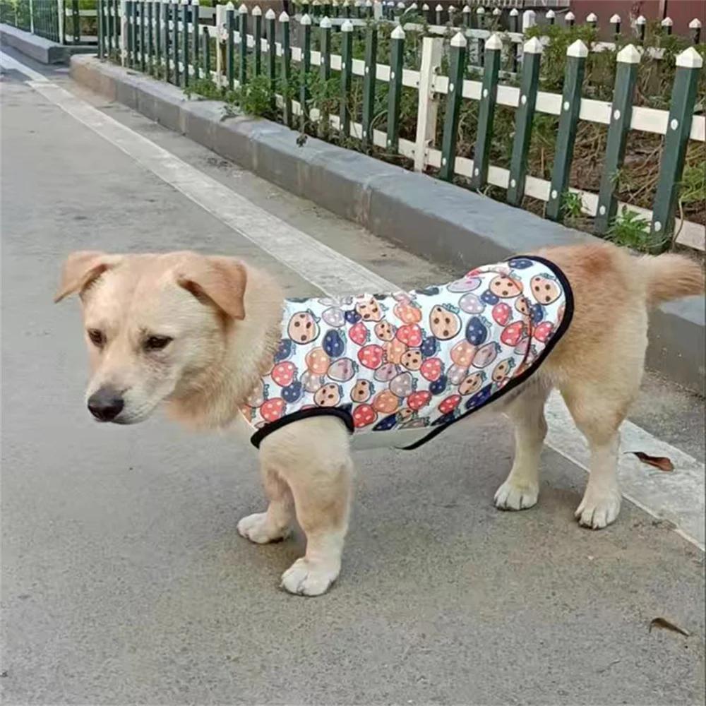 Летняя одежда для кошек сфинксов, симпатичный принт, жилет для домашних животных, рубашка для кошек, рубашки для котят Gotas, кеди, mascotas, одежда для собак, одежда для кошек