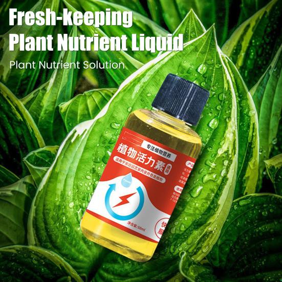 Plant Nutrient Solution 50Ml Liquid Fertilizer Promote Root Growth Propagation