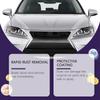 Rayhong Car Iron Powder Rust Remover Car Paint Stain Remover Rust Polishing Cleaning Sparking Renovation Maintenance