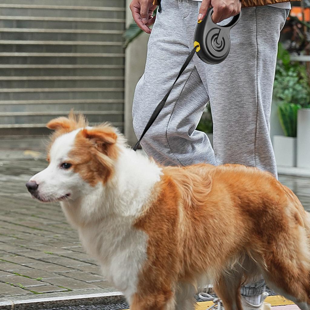 Automatic Retractable Dog Leash, and Dog Walking Leash, Explosion-Proof Pet , Outdoor Retractable Leash for Small and Medium