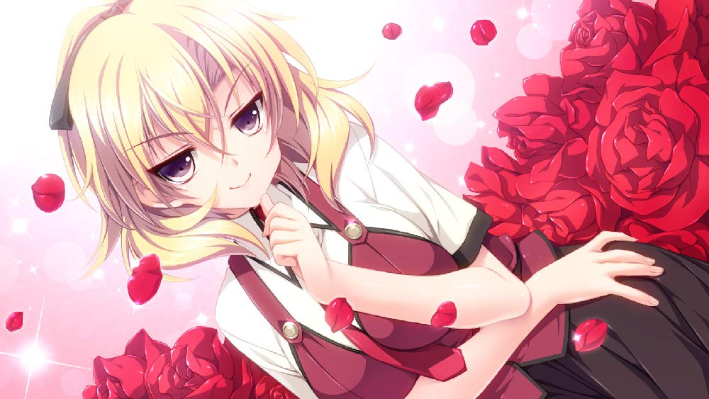 Девушка в любви и щит защиты Дева Мария стандартного издания PSVita ~Розы~ -