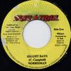 7inch Record NORRISMAN - Bright Days NONE Star Trail 1999 Jamaica Reggae, Ska & Dub Used