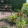 Rusted Iron Flower Outdoor Stake Weather Resistant Curved Petal Stake  Walkway Landscape
