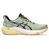 Asics GT 2000 12 TR Nature Bathing — Мужские кроссовки Green Fellow Yellow 1011B775-250