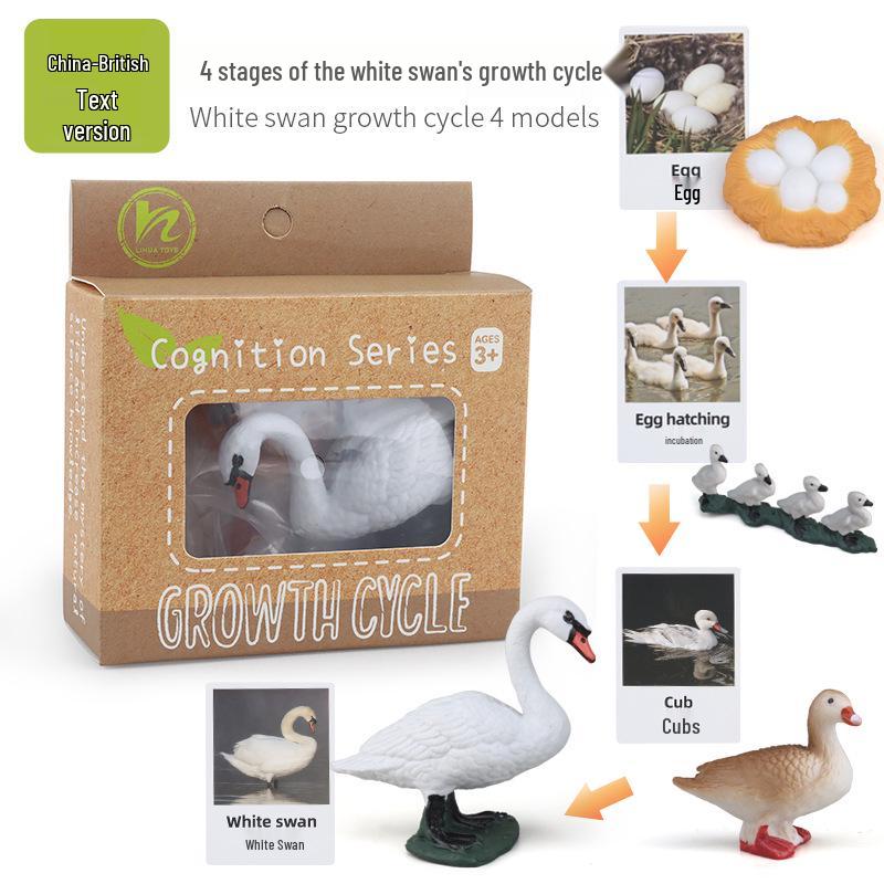 Montessori Animal & Plant Growth Cycle Teaching Toys for Kids