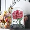 PATIKIL 15.5 x 15 cm clear cloche glass dome glass bell jar display case tabletop centerpiece With black wooden base for christmas interior decoration