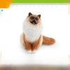 ПВХ Фигурка Животного Модель Кошки для Обучения Детей и Домашнего Декора