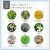 Ya-man Facial Device Compatible Flawless Serum Gel CS19004 80g