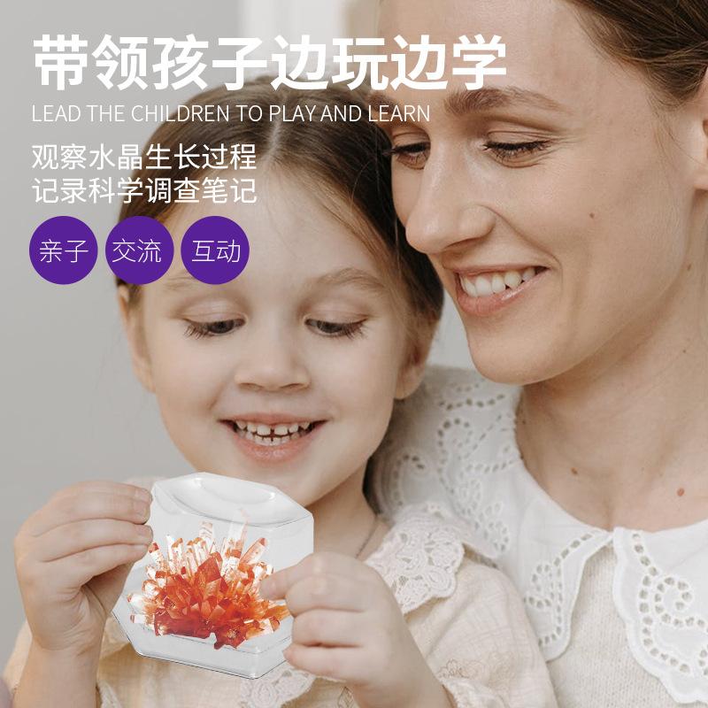 Обучение Youma DIY Кристалл Посадка Тестовый Костюм Родитель-Ребенок Обмен Химический Эксперимент Принцип 5 Дней Форма Заводской Магазин
