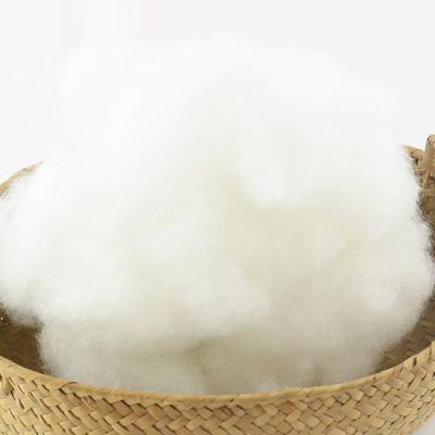 50 г/лот Премиум полиэстеровое волокно кукла мягкие игрушки полиэстер набивка высокоэластичный полипропиленовый хлопок DIY ручной работы наполнитель подушки материал