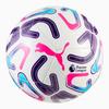 Puma Premier League Mini Football