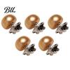 Secure Garment Fastener 5PCS Pearl Buttons for Women, Clothing Invisible Anti-Exposure Safety Pins, No Decorative Damage Iron Brooch Pins Neckline