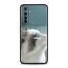 Модный чехол с милыми котами для Realme GT Neo2 3, чехол для телефона Realme 9, 8, 7, 6 GT2 Pro Plus 5G 8i 9i C3 C21 C11 C25 C35 C21Y, чехол
