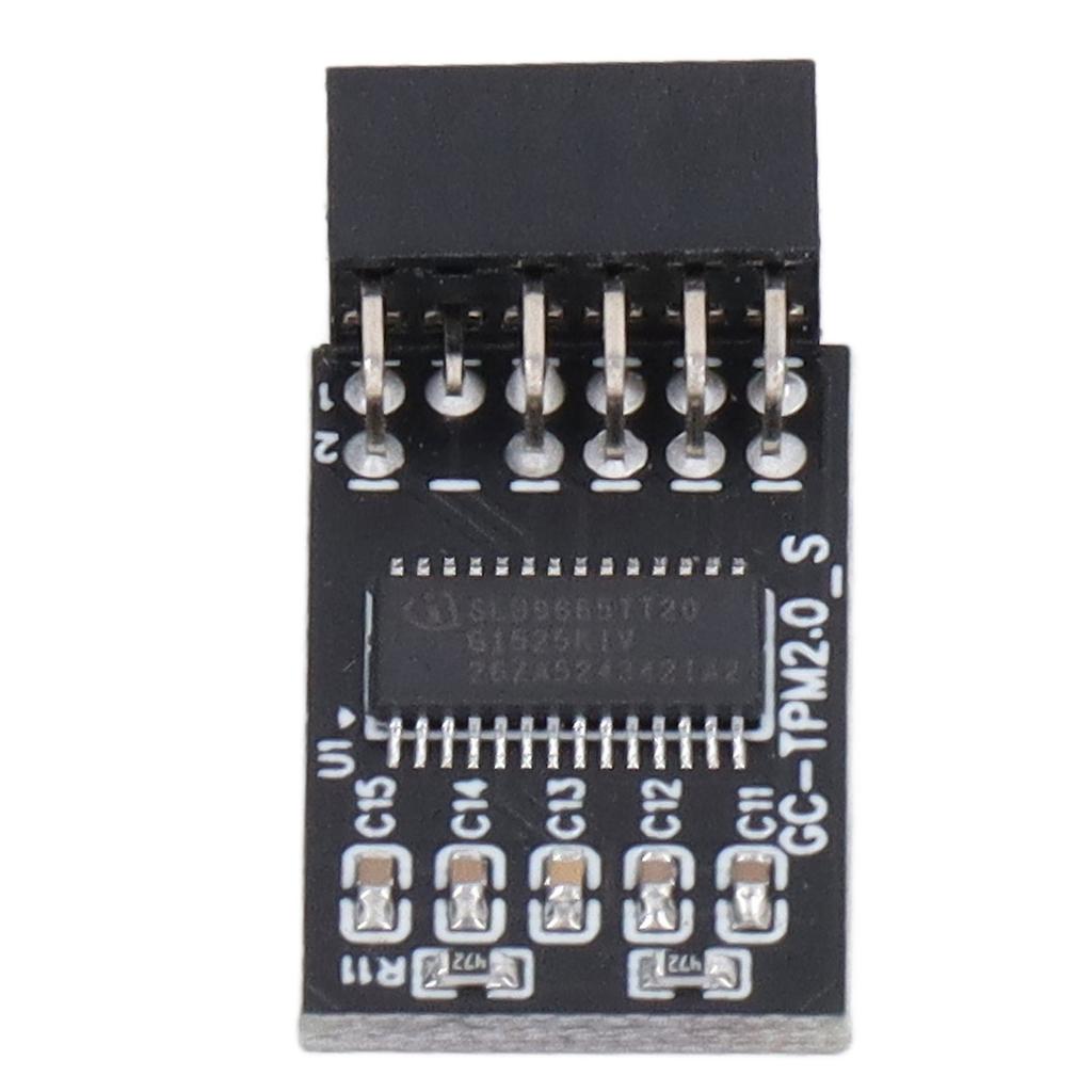 Модуль TPM 2.0 LPC SPI 12Pin Remote Card Encryption Security Board Аксессуар для GIGABYTE
