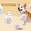 Pet Toy Bite-resistant Interactive Dog Ball Toy High Elastic Teeth Grinding Dog Training Ball Pet Supplies