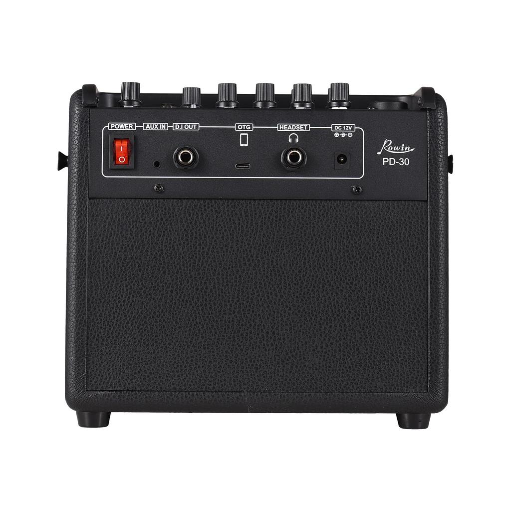 Rowin 30W Electric Guitar Amplifier with OTG and Rechargeable Portable Acoustic Guitar Amplifier with Reverb and Chorus Mic Aux and Headphone Jack for