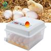 110V/220V Eggs Incubator Brooder Bird Quail Incubator Chick Hatchery Incubator Poultry Hatcher Turner Automatic Farm Incubation Tools