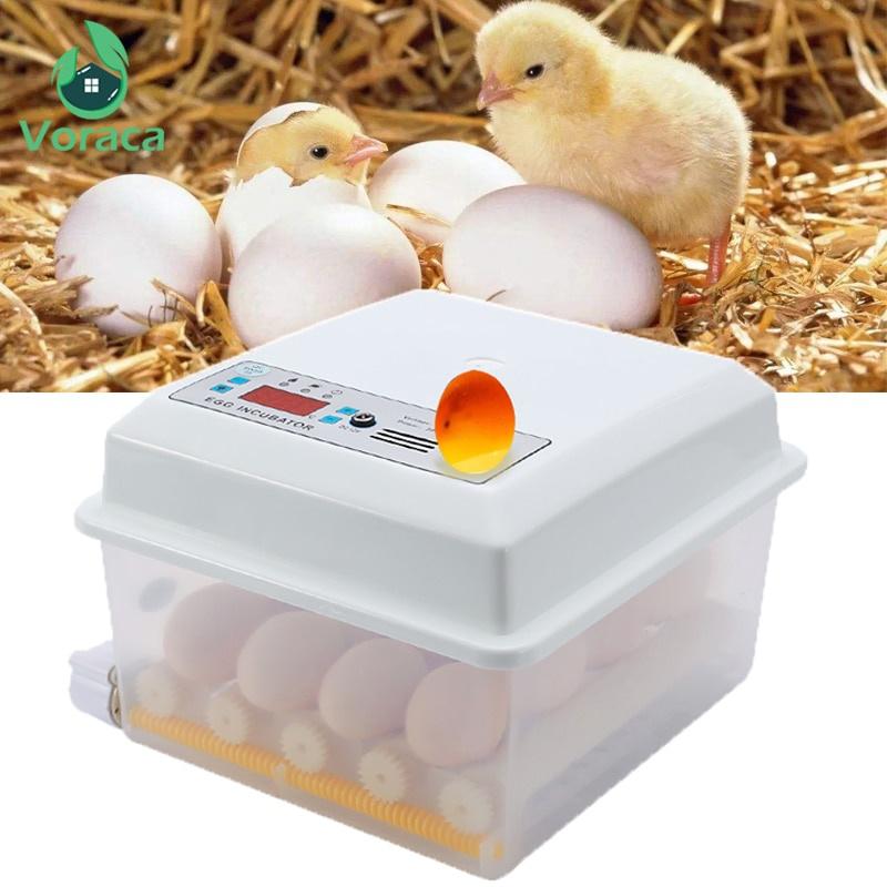 110V/220V Eggs Incubator Brooder Bird Quail Incubator Chick Hatchery Incubator Poultry Hatcher Turner Automatic Farm Incubation Tools
