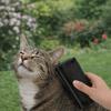 Professional Dog Hair Remover Hair Care Non-Slip Handle Pet Floating Brush Metal Brush Teeth Portable Pet Furs Knot Cutter