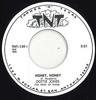 7-дюймовая пластинка DOTTIE JONES - Honey Honey / Let Not Temptation TNT139 Tnt UK 2025 Jamaica Blues