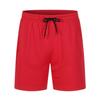 Summer Men's Mid Waist Drawstring Quick Drying Mesh Short Trousers Black White Red Blue Casual Beach Short Pants