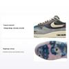 Kasina x Air Max 1 SP Won-Ang - Серые Унисекс Кроссовки Частично-Серый Железо-Серый Темно-Дымчато-Серый DQ8475-001