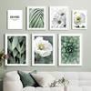 White Daisy Succulent Aloe Tropical Plant Wall Art Canvas Painting Nordic Posters And Prints Wall Pictures For Living Room Decor
