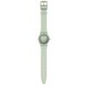 Часы VERT Green [Swatch] D'EAU SS08G103-S14
