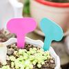 100Pcs 5*7Cm Plastic Plant T-Type Tag Markers Nursery Garden Lawn Labels
