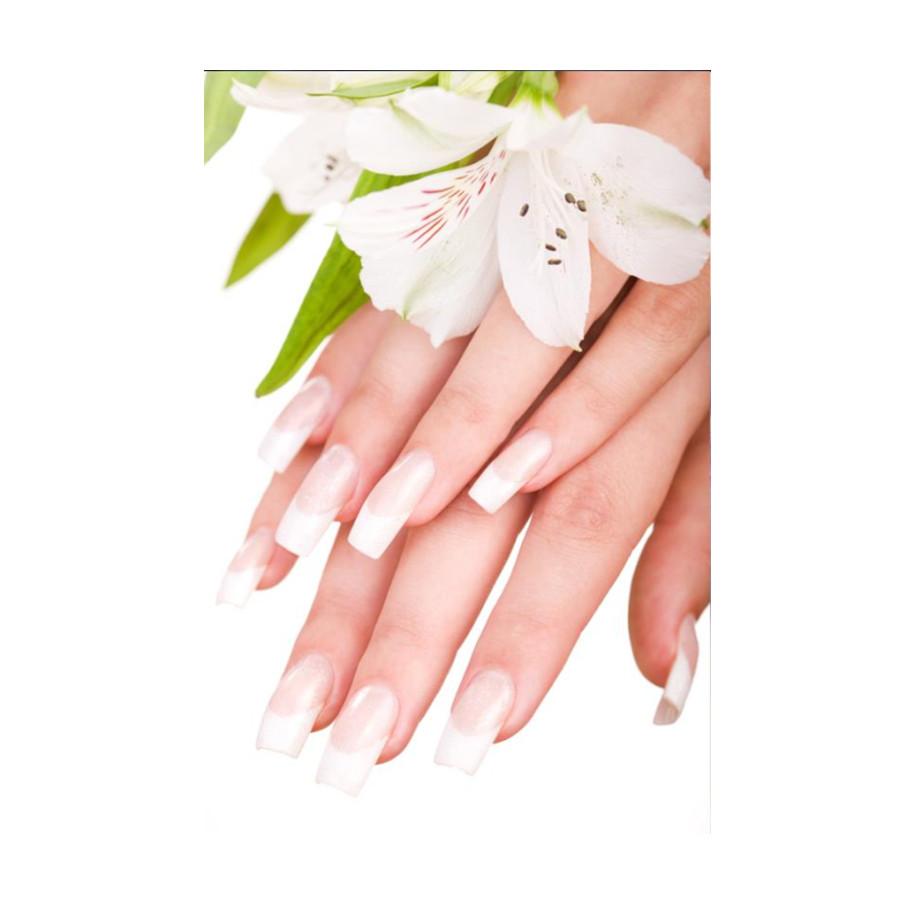 СПА для ног, цветы для ногтей, постеры и принты, холст, живопись, современное настенное искусство, картины для гостиной, домашнего салона, декор