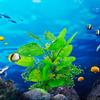 12 см искусственные аквариумные растения водная трава украшения аксессуары для аквариума водоросли украшение