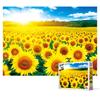 Пазл из 500 деталей - поле подсолнухов, популярная корейская головоломка