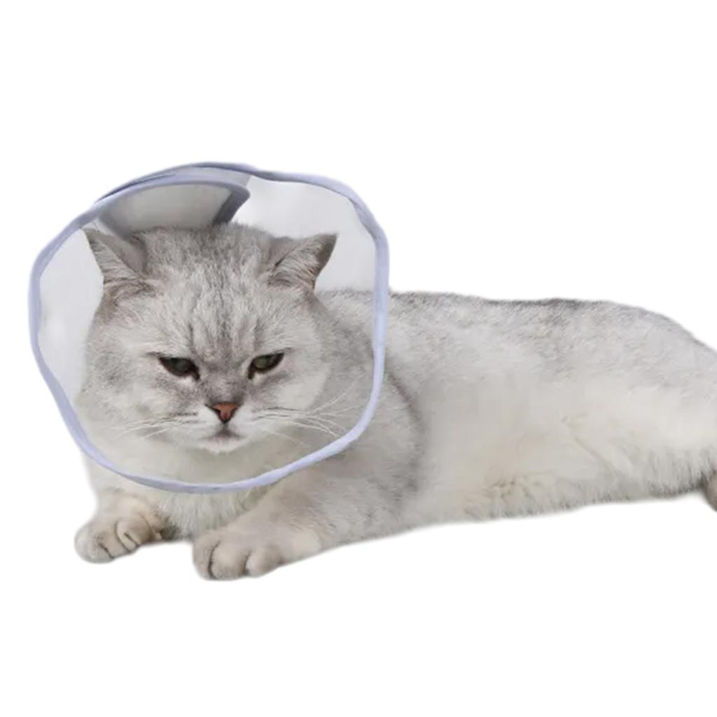 Delicate Transparent Recovery Collar Ensuring Comfort and Protections for Cats Dogs Postoperative Care & Injury Recovery
