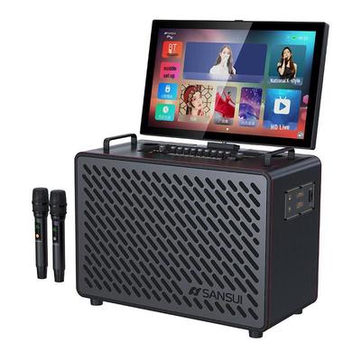 Портативная KTV акустическая система Sansui C10, штекер CN (адаптер в комплекте)