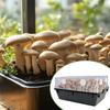 Single-tube Adhesive Filter Mushroom Filter Patch 24 Pcs Disc Cotton Screen For Humidity Retention Moisture Preservation Indoor
