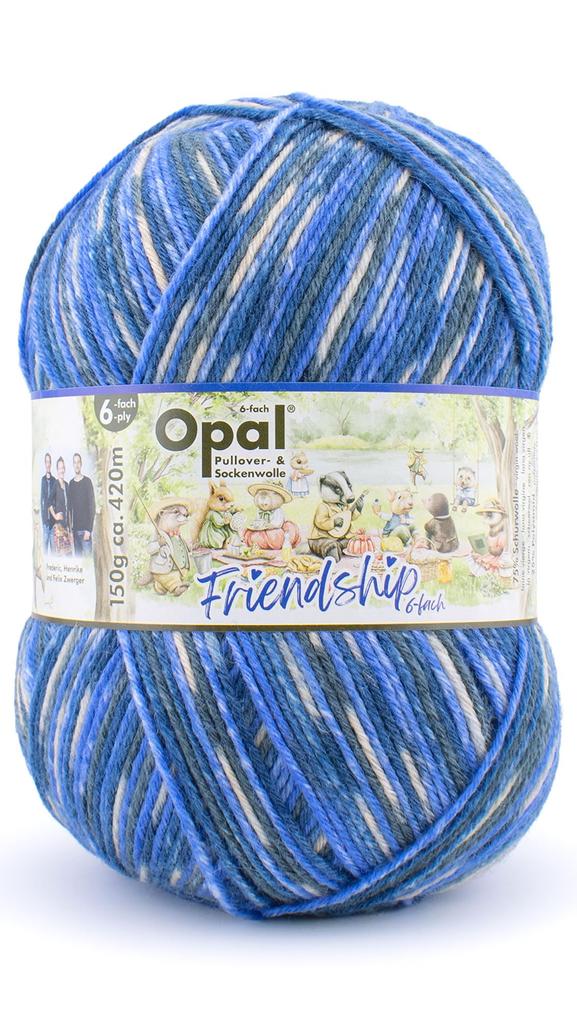 Opal Friendship Sock Wool Play Yarn, 6-ply, Blend, 11562. Let's